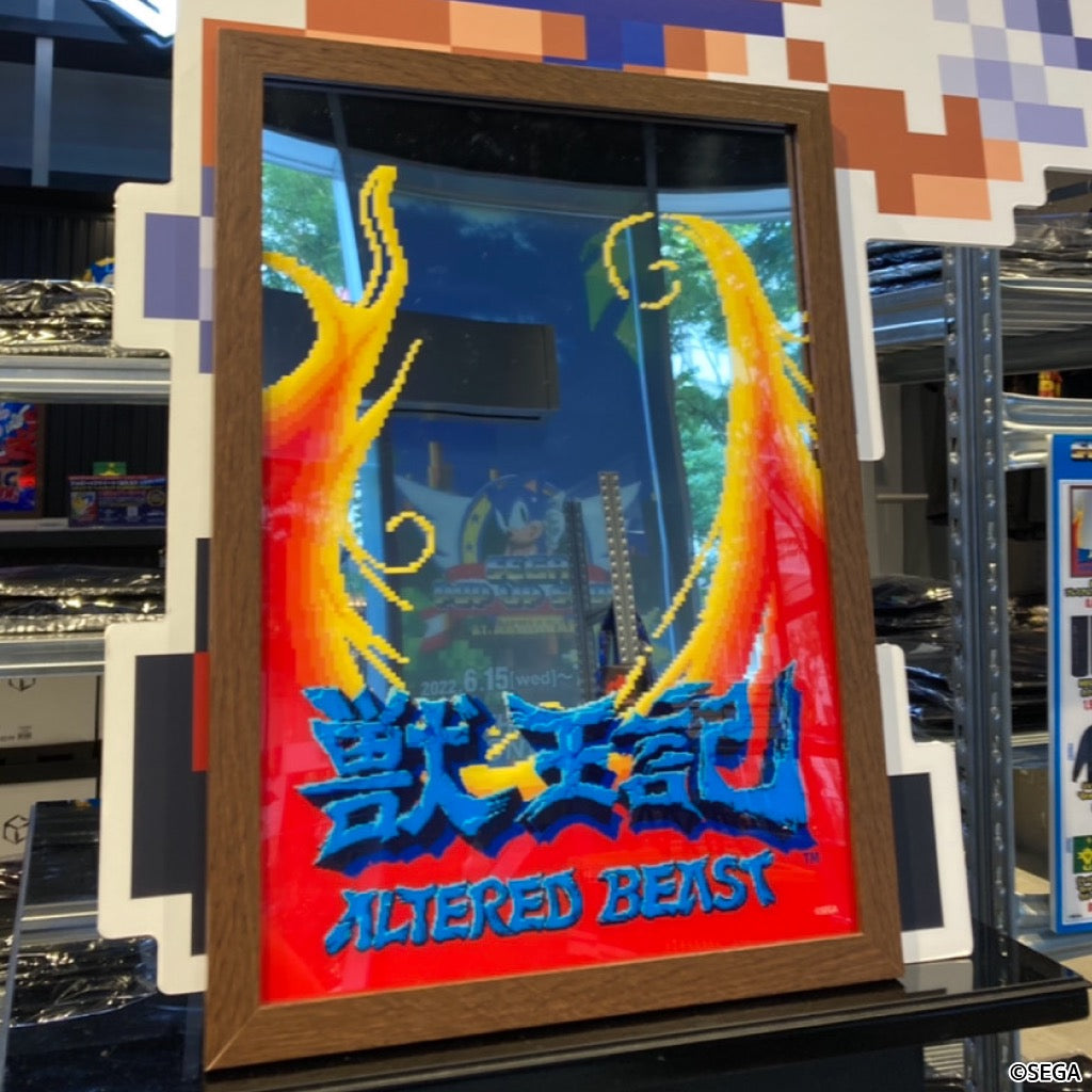 SHIN JAPAN HEROES AMUSEMENT WORLD パブミラー | フィギュア